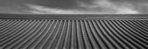 Close-up texture of roof shingles, featured image for the Roswell squirrel roof damage post
