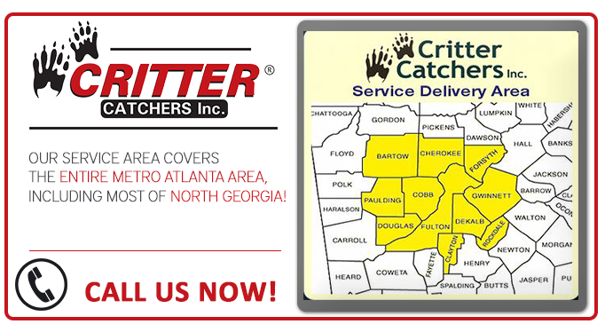 Critter Catchers service area map covering metro Atlanta and North Georgia with a call-now banner