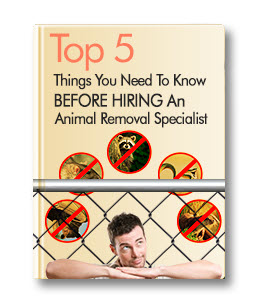 "Top 5 Things You Need to Know Before Hiring an Animal Removal Specialist" free report cover