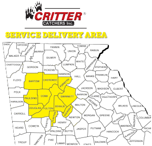 Map of Georgia showing Critter Catchers' service delivery area highlighted in yellow