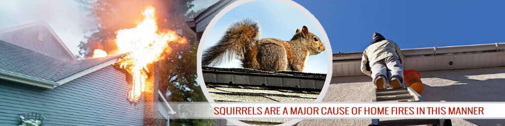 Flames on a rooftop illustrating fire damage caused by squirrels chewing wires